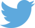 Twitter Logo Blue