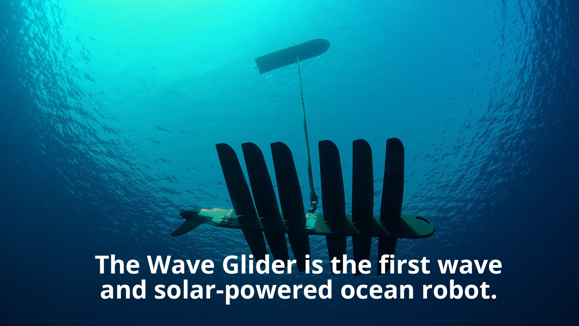 The Wave Glider is the first wave and solar-powered ocean robot