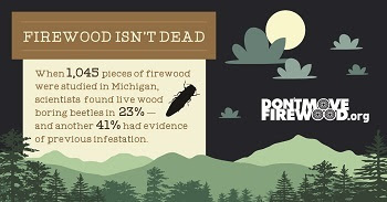 Infographic firewood isn't dead