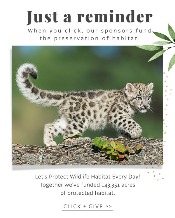 Click Today & Protect Wildlife Habitat!
