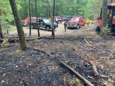 a burned part of a forest with trucks in the background on a dirt road