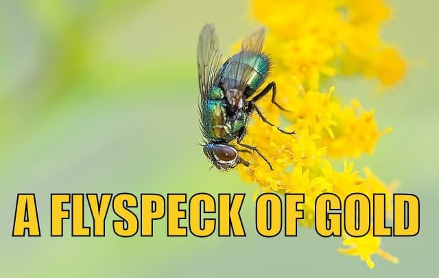 A Flyspeck of Gold