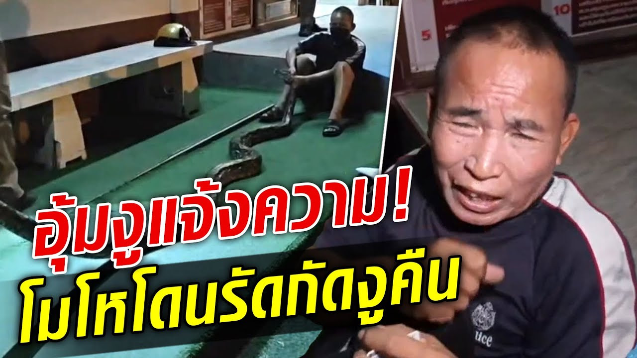 بالفيديو: ردة فعل غريبة لـ رجل التفّ ثعبان ضخم على ساقه وعضّها