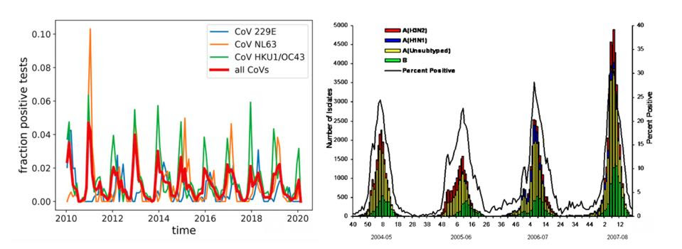 Left: Seasonal variation of human coronaviruses in Stockholm, Sweden. Test results between 2010 and 2019. Right: Surveillance of seasonal influenza viruses from 2004 to 2008.