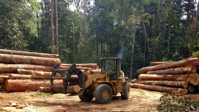 INPE: Mais de 10 mil km² foram desmatados na Amazônia entre 2018 e 2019