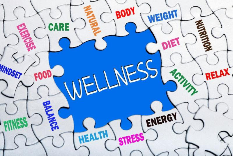 wellness platform image