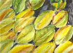 Star Fruit - free shipping - Posted on Monday, March 23, 2015 by jean krueger