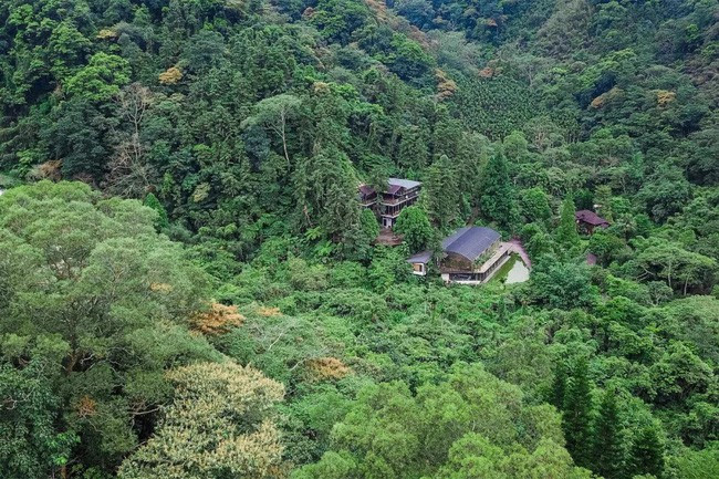 Vị giáo sư độc thân sở hữu ngôi nhà kính trong thung lũng 12.000m² với cuộc sống khó ai tin được - Ảnh 6. Vị giáo sư độc thân sở hữu ngôi nhà kính trong thung lũng 12.000m² với cuộc sống khó ai tin được - Ảnh 6.