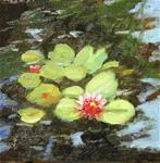 Lily Pond - Posted on Friday, January 2, 2015 by Jane Frederick