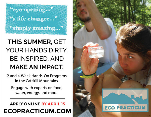 Eco Practicum Catskills Flyer