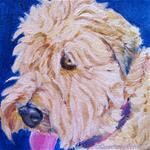 Wheaten Painting in Acrylic - Posted on Wednesday, February 25, 2015 by Leslie  Raven
