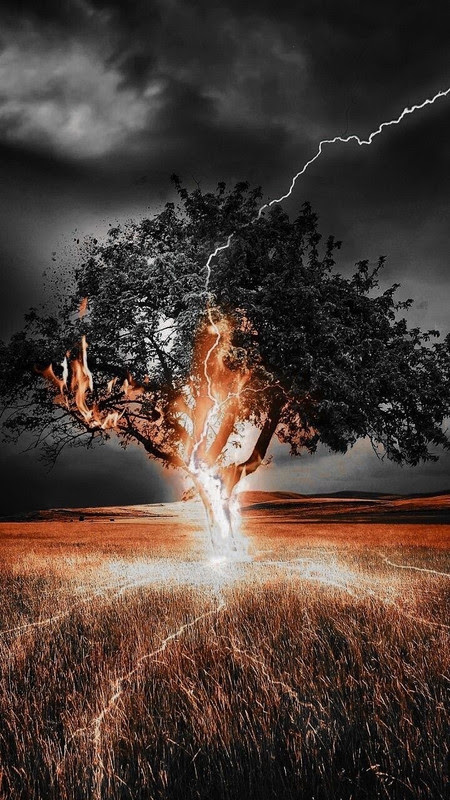 Lightning-Tree-ground