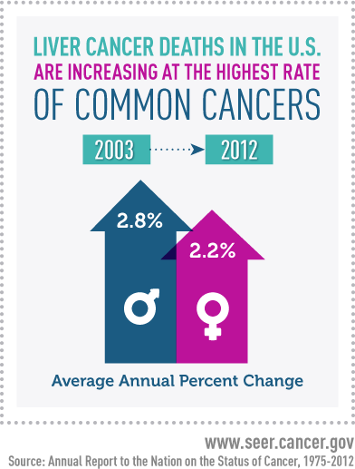 Inforgraphic that says Liver Cancer deaths in the US are increasing at the highest rate of all cancers. Images below describer Average Annual Percent Change. Box that says 2003 over blue arrow that says 2.8%. Box next to it says 2012 with an arrow below it that says 2012.