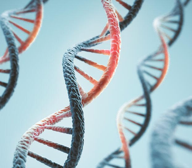 Özel Bir Çöp DNA, Kanserin Yayılmasında Rol Oynuyor Olabilir