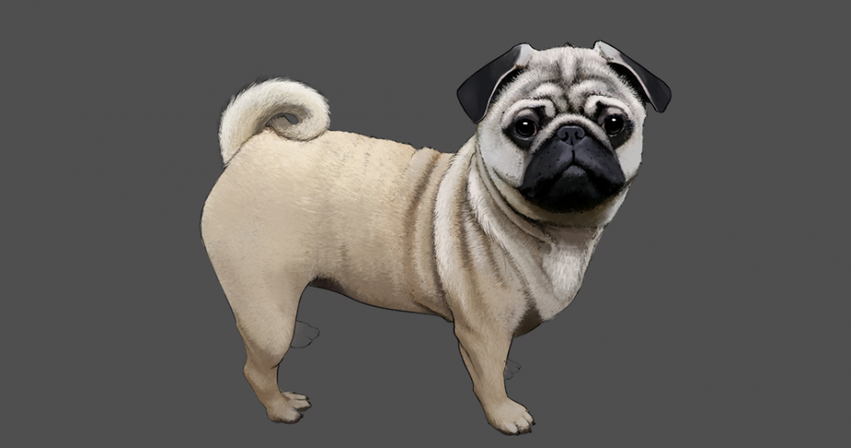 listing-Pug_Done.png