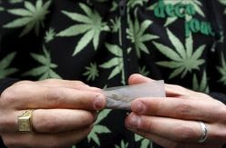 Sin compartir porros y ceniceros de un solo uso: la propuesta de los clubes de cannabis para volver a la actividad