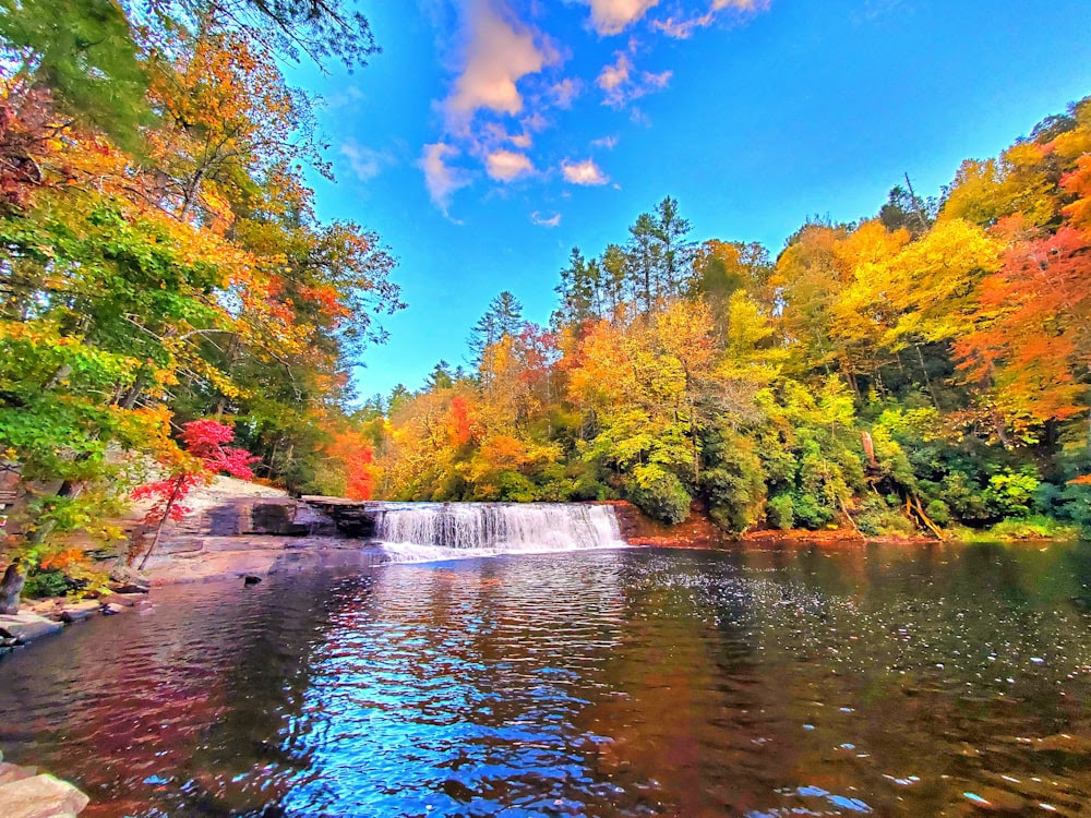 une rivière avec une cascade entourée d’arbres