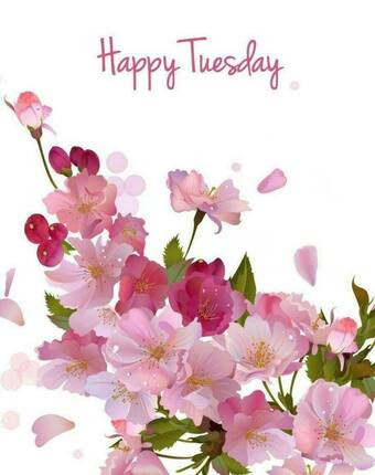 Tuesday-Happy-Pink-Flowers