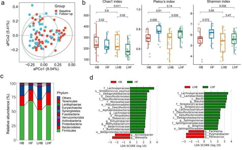 Probiotic company finds links between youthful gut microbiota and potential centenarians