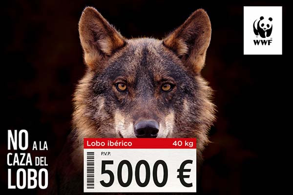 Revista Veterinaria Argentina » Campaña de WWF en defensa del lobo  ibéña.