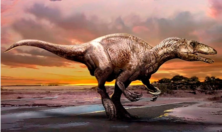 Megaraptor similar al hallado en Santa Cruz