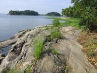 Orchard Beach Coastline