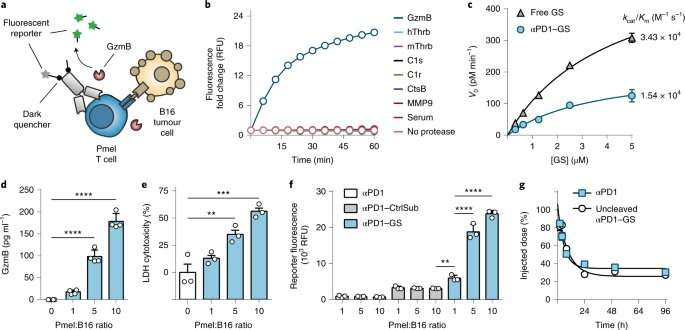 Biosensors for quick assessment of cancer treatment