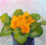 First Orange Primrose,still life,oil on canvas,6x6,price$200 - Posted on Saturday, February 28, 2015 by Joy Olney