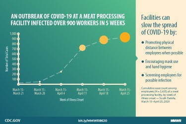 The figure is a line graph with text about an outbreak of COVID-19 at a meat processing facility.