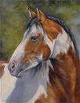 Paint Horse - Posted on Sunday, November 16, 2014 by Tracy Klett