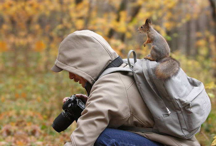 Les photographes animaliers... les animaux sentent leur bienveillance Nature-photographers6__700