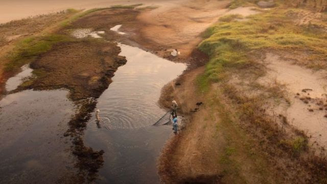 Operação de resgate de peixes no Rio Paraná