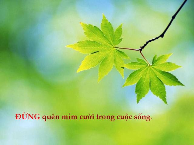 http://www.dongcong.net/photogallery/Cham-Ngon_CS/cs_clip_image045.jpg