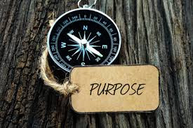 The Quest for Leadership Purpose | Unbridling Your Brilliance