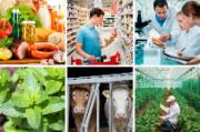 Controls and activities performed to ensure the application of food and feed law, rules on animal health and welfare, plant health, plant reproductive material, plant protection products © European Union 6 pictures: groceries on a wooden table, man in supermarket, group of people working in a laboratory, mint plant, cows inside a farm, man in a greenhouse plantation