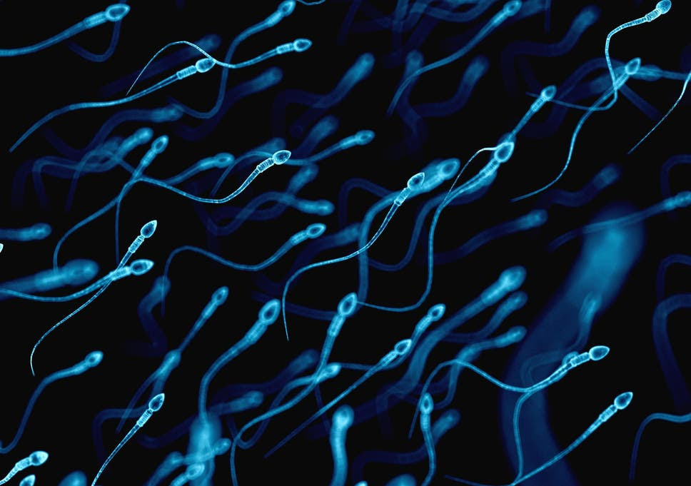 Child abuse leaves molecular ‘scars’ in DNA of victims’ sperm, new study suggests YES