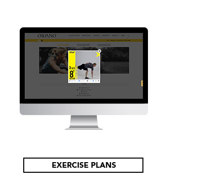 EXERCISE PLANS