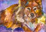 5x7 Heidi's Dog Watercolor, Pen and Ink Pet Portrait by Penny Lee StewArt - Posted on Wednesday, February 18, 2015 by Penny Lee StewArt