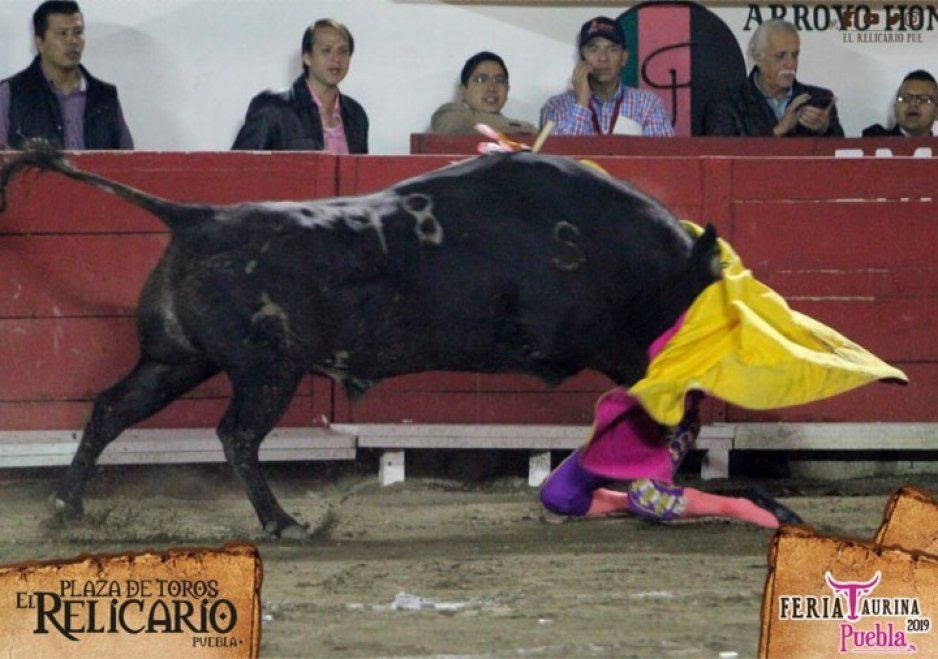 Resultado de imagen de hilda tenorio, corneada en el rostro 2013