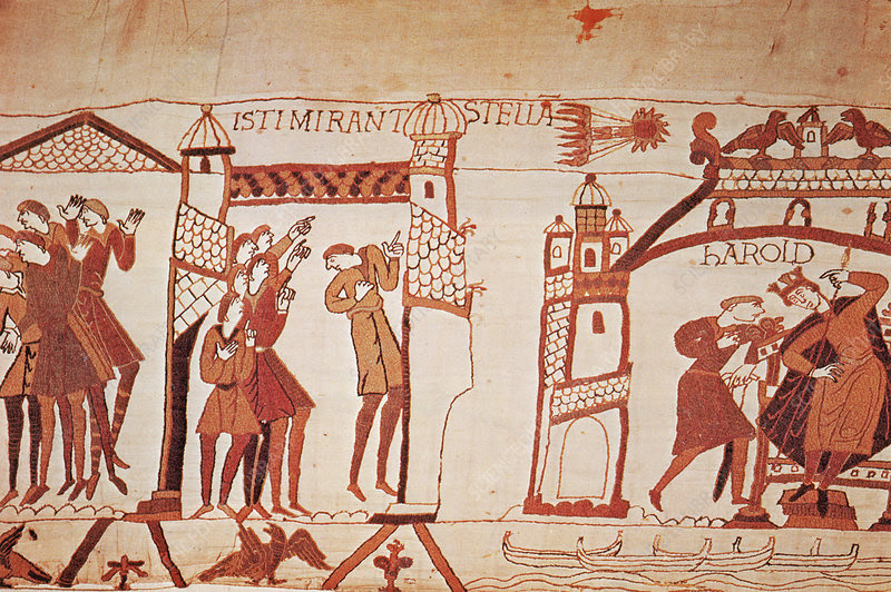 Halley's Comet in 1066, Bayeux Tapestry - Stock Image - C012/9155 - Science  Photo Library