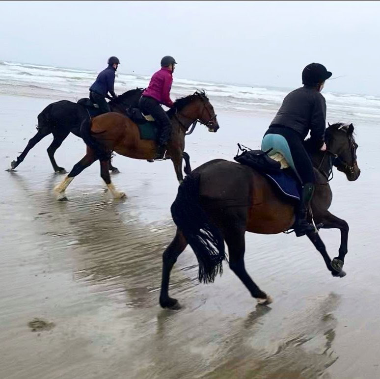 horse riding holiday