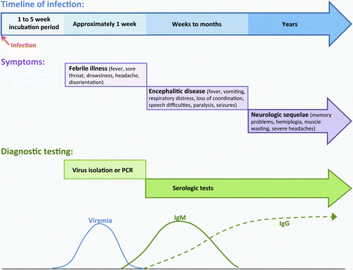 Timeline of POWV Infection, Symptoms, and Diagnostic Testing