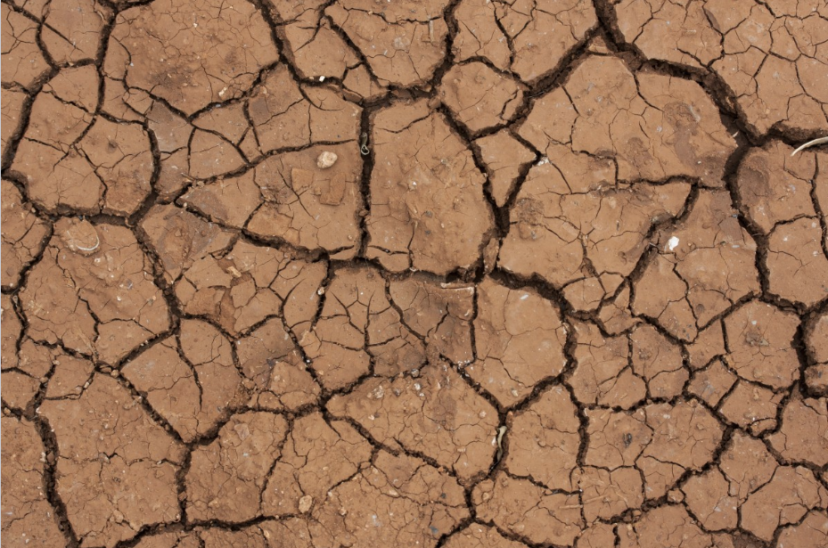 Según la ONU, la temperatura mundial de 1,5 ºC, para final de siglo / Foto: Pxhere