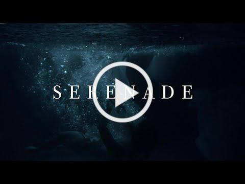 Rising Insane - Serenade (Official Video)