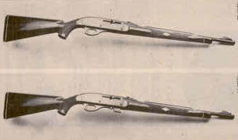 Remington Nylon 66 and 77