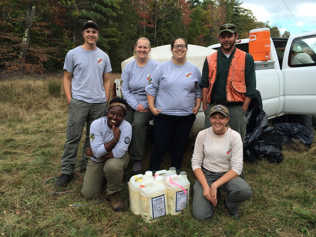Photo of Maryland Conservation Corps members.