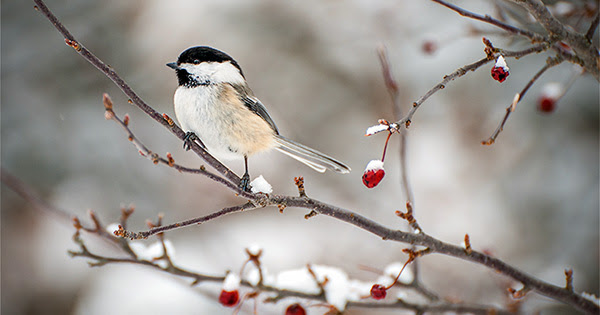 The #1 Reason to Sell Now... Not Next Spring | Keeping Current Matters