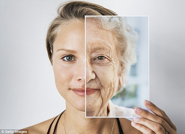 An extraordinary new anti-ageing technique could see humans live to 150 years old and allow them to regrow their organs by 2020 (stock image)