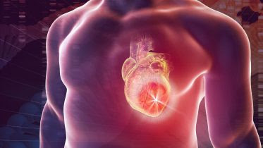 Heart Disease Genetics Concept