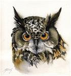 owl watercolor - Posted on Monday, January 26, 2015 by Alfred Ng